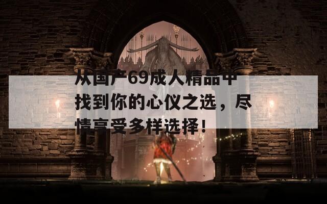 从国产69成人精品中找到你的心仪之选，尽情享受多样选择！