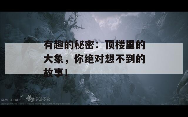 有趣的秘密：顶楼里的大象，你绝对想不到的故事！