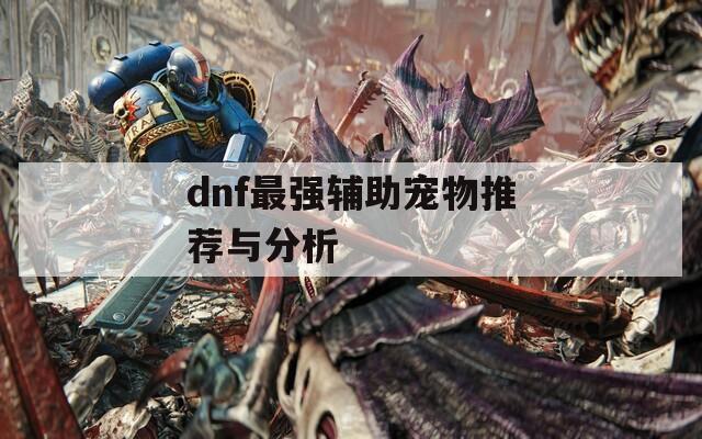 dnf最强辅助宠物推荐与分析