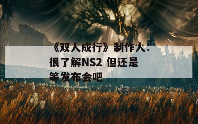 《双人成行》制作人：很了解NS2 但还是等发布会吧