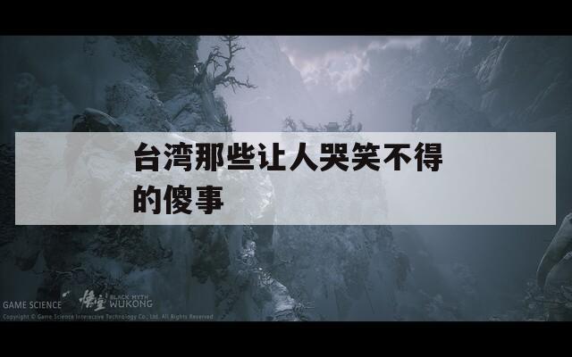 台湾那些让人哭笑不得的傻事