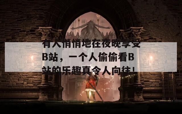 有人悄悄地在夜晚享受B站，一个人偷偷看B站的乐趣真令人向往！