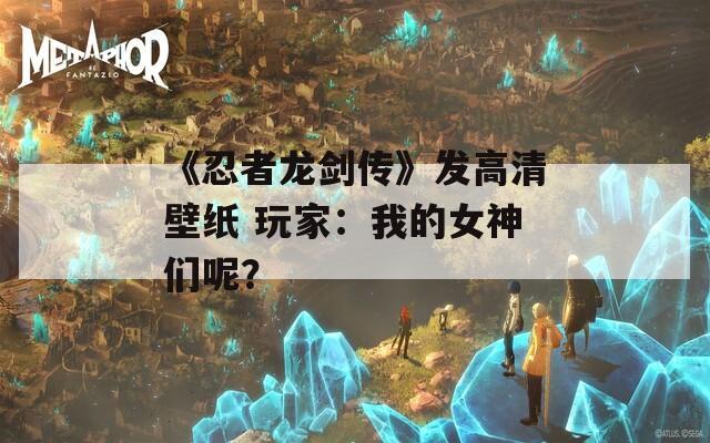 《忍者龙剑传》发高清壁纸 玩家：我的女神们呢？