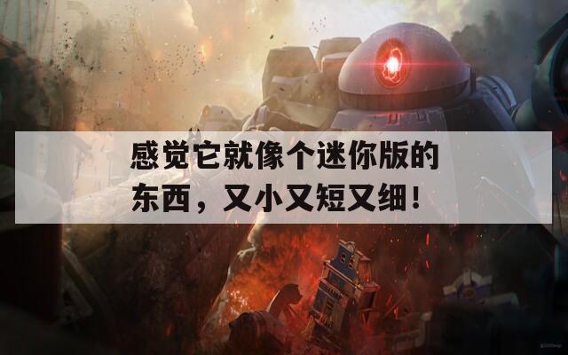 感觉它就像个迷你版的东西，又小又短又细！