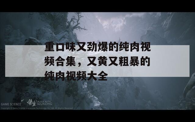 重口味又劲爆的纯肉视频合集，又黄又粗暴的纯肉视频大全