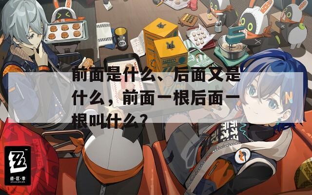 前面是什么、后面又是什么，前面一根后面一根叫什么？