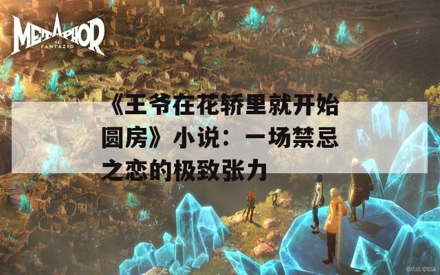 《王爷在花轿里就开始圆房》小说：一场禁忌之恋的极致张力