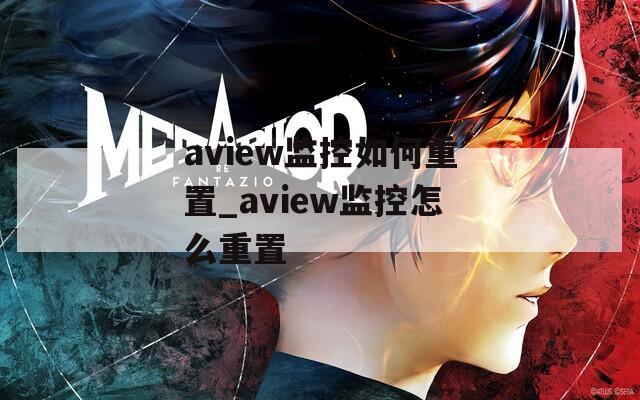 aview监控如何重置_aview监控怎么重置