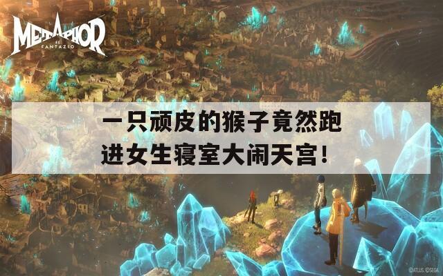 一只顽皮的猴子竟然跑进女生寝室大闹天宫！