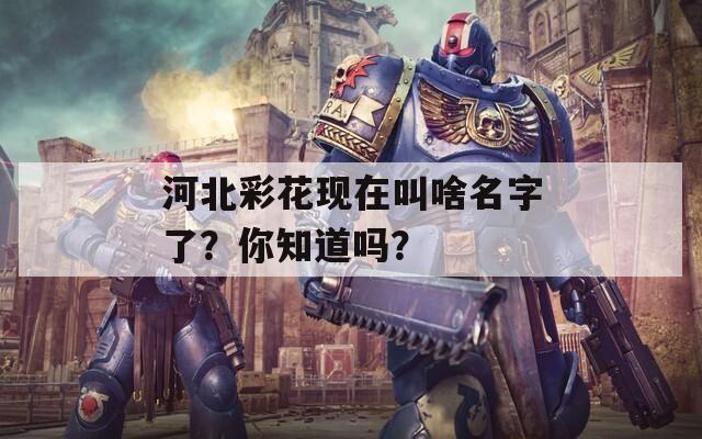 河北彩花现在叫啥名字了？你知道吗？