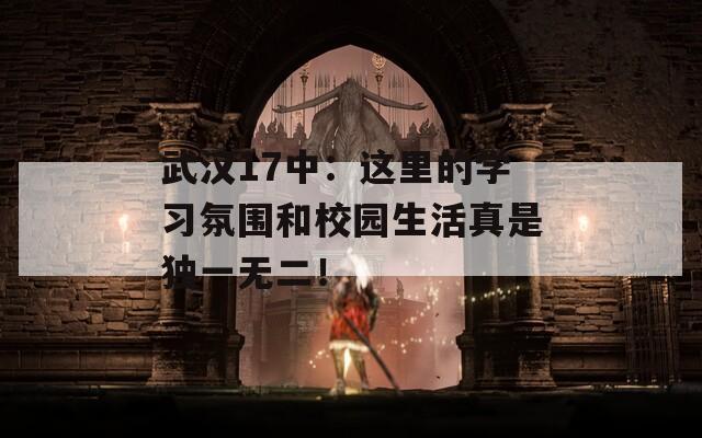 武汉17中：这里的学习氛围和校园生活真是独一无二！