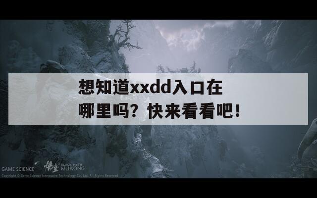 想知道xxdd入口在哪里吗？快来看看吧！