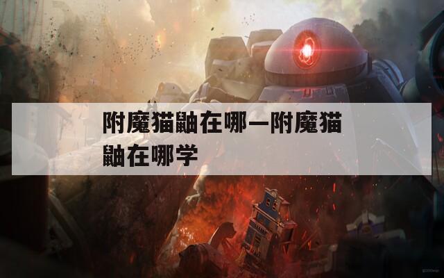 附魔猫鼬在哪—附魔猫鼬在哪学