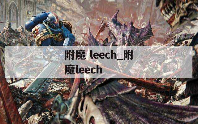 附魔 leech_附魔leech