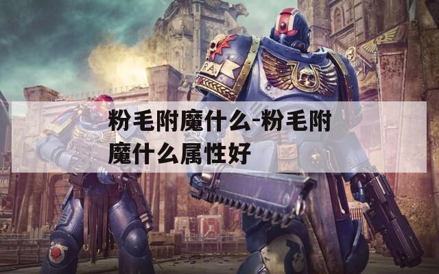 粉毛附魔什么-粉毛附魔什么属性好