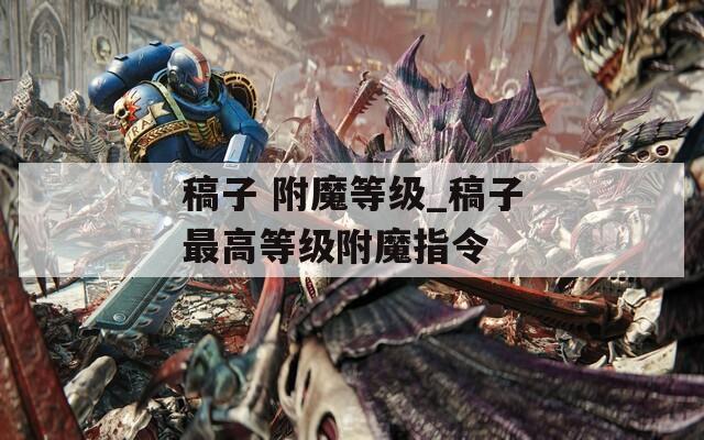稿子 附魔等级_稿子最高等级附魔指令