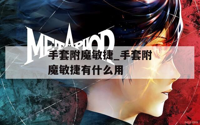 手套附魔敏捷_手套附魔敏捷有什么用