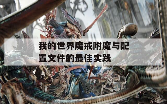 我的世界魔戒附魔与配置文件的最佳实践