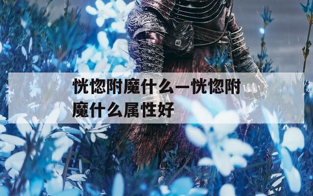 恍惚附魔什么—恍惚附魔什么属性好
