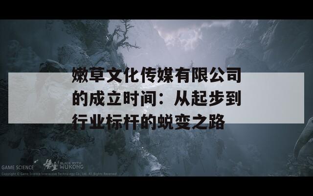 嫩草文化传媒有限公司的成立时间：从起步到行业标杆的蜕变之路