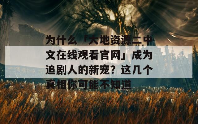 为什么「大地资源二中文在线观看官网」成为追剧人的新宠？这几个真相你可能不知道