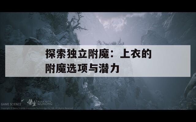 探索独立附魔：上衣的附魔选项与潜力