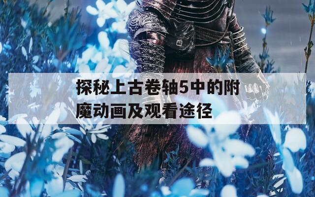 探秘上古卷轴5中的附魔动画及观看途径