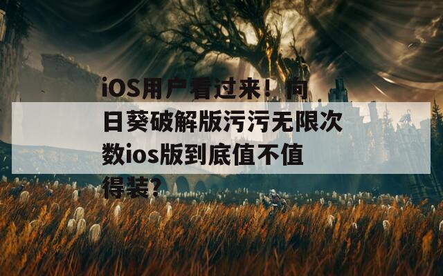 iOS用户看过来！向日葵破解版污污无限次数ios版到底值不值得装？
