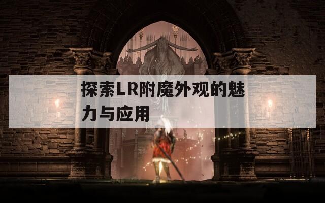 探索LR附魔外观的魅力与应用