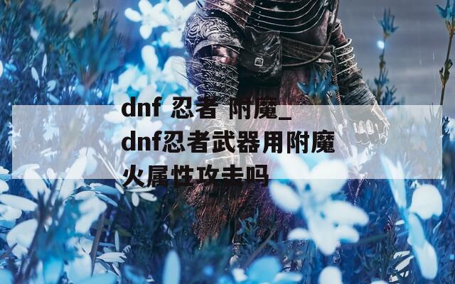 dnf 忍者 附魔_dnf忍者武器用附魔火属性攻击吗
