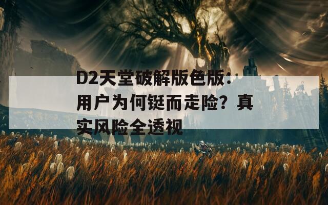 D2天堂破解版色版：用户为何铤而走险？真实风险全透视